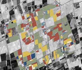 Significant eradication in vicinity, one grid location. 2014 2015 April 18 (4.9 ha poppy) Poppy is 8% of total agriculture.
