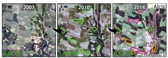 These images show another area in southern Nangarhar Province where orchards planted in 2010 by IDEA-NEW were replaced by opium poppy by 2014.