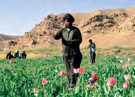 SPECIAL INSPECTOR GENERAL FOR AFGHANISTAN RECONSTRUCTION THE OPIUM TRADE FROM FARM TO ARM CULTIVATION Organization for Sustainable Development and Research (OSDR) photo David