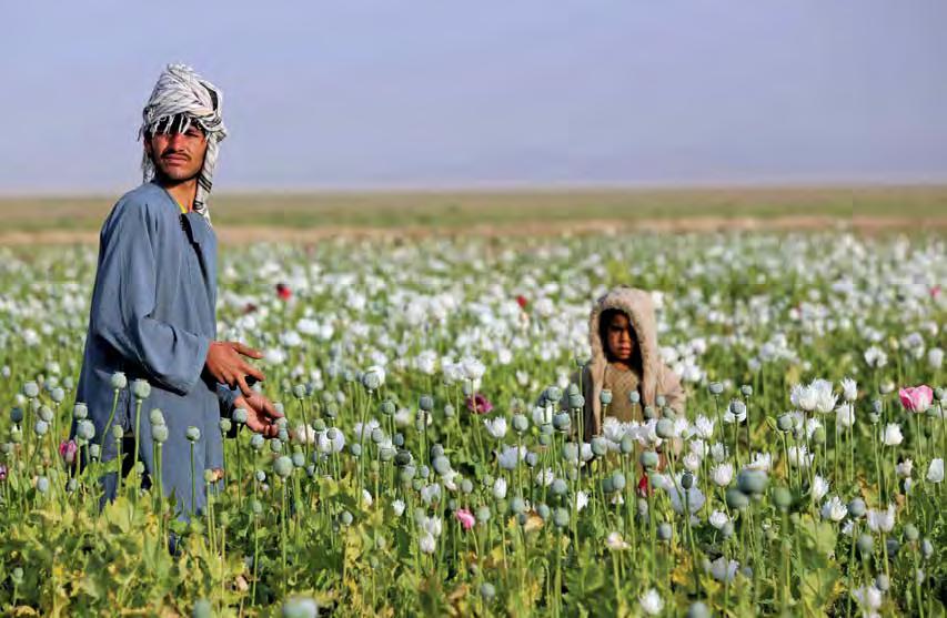 CHAPTER 2 A CHRONOLOGY OF COUNTERNARCOTICS OVER THE AFGHAN RECONSTRUCTION EFFORT DOD photo Afghanistan produces 90 percent of the world s illicit opium; it is the country s largest export and a