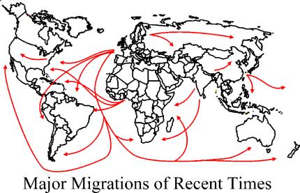 international migration international