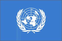 UN Agencies, Offices and Programs UNHCR UN High Commissioner for Refugees UNICEF UN Children s Fund WFP UN World Food Programme WHO UN World Health Organization UNDP UN Development Programme (RC/HC)