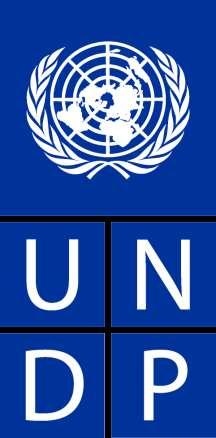 United Nations Development Program (UNDP) UNDP established in 1966 as "front-line of a global war on want.