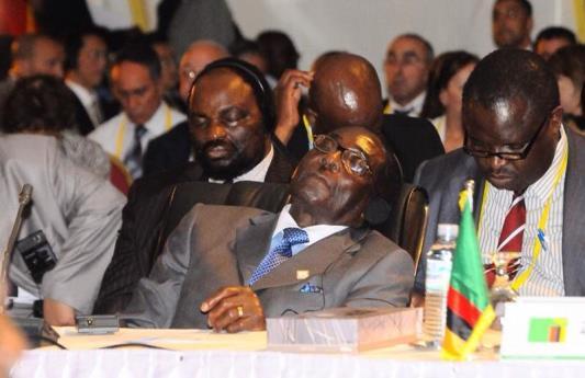 Picture 7:4 President Mugabe sleeping at a conference and the topical mansion.