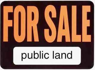 Sale of Public Lands- Who