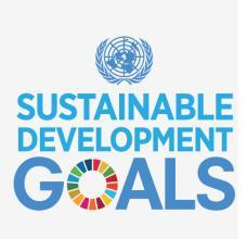 2. COLOR PALETTE AND FONTS The predominant color of the campaign is the same used to identify the 5 th Sustainable Development Goal.