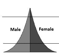 20. Using the population pyramid below, identify which stage of growth the country is in? a. Low Growth b. High Growth c. Moderate Growth d.
