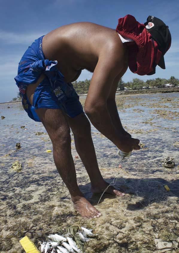 A MAN GATHERS TOGETHER REEF FISH HE HAS CAUGHT AT LOW