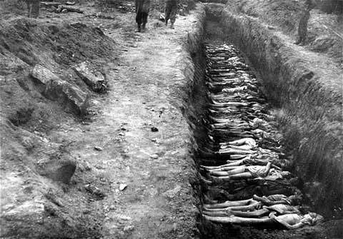 SS6H7B The Holocaust By the time WWII was over as many as 6 million Jews were dead Other groups were Hitler s