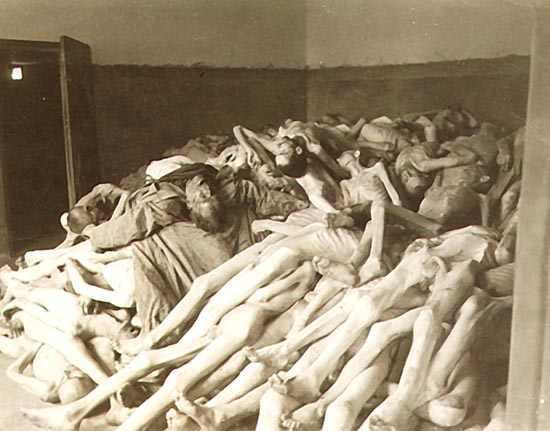 SS6H7B The Holocaust Genocide, the planned killing of a race of people,