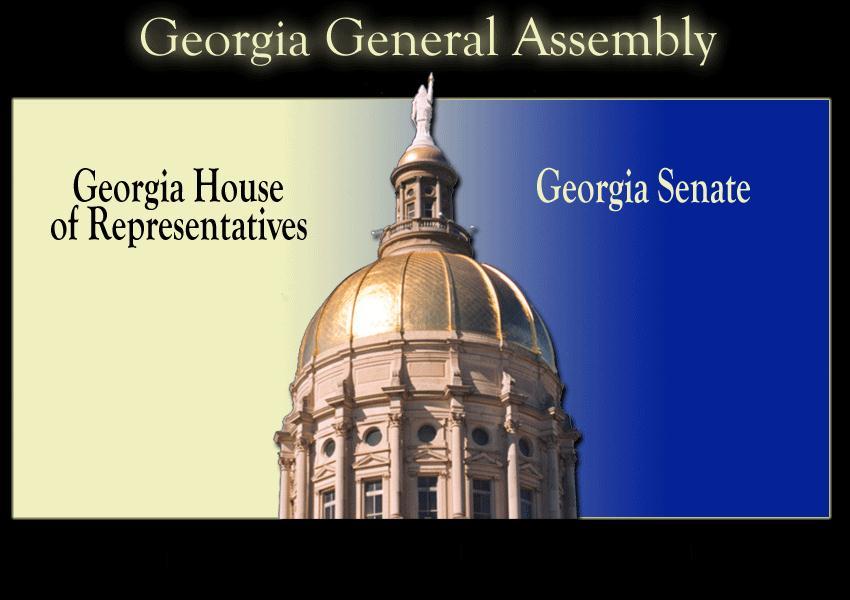 S8CG2 The student will analyze the role of the legislative branch in Georgia state government. a. Explain the qualifications, term, election, and duties of members of the General Assembly. b. Describe the organization of the General Assembly, with emphasis on leadership and the committee system.