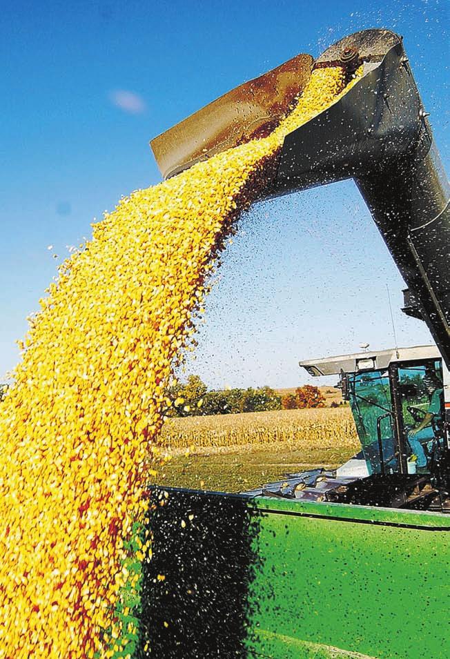Corn flows from an Iowa combine. 20 continued from previous page NAFTA was going to be, and would be perceived as, an extraordinary success.