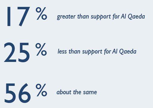 But, to put this in perspective, Americans are a little less worried about possible American support for ISIS than American support for Al Qaeda:
