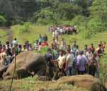jumbo crisis is staring at AOdisha when human toll in the State owing to man elephant conflict has grown by an elephantine 54 per cent last fiscal to propel Odisha to the top in the dubious list in