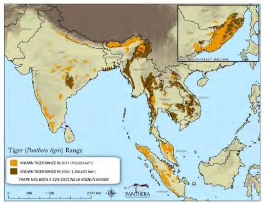 Table 1: Wild Tiger Population Per Tiger Range Country 1 Tiger Range Country Latest Count Percentage of Total India 2226 57% Russia 433 11% Indonesia 371 10% Malaysia 250 6% Nepal 198 5% Thailand 189