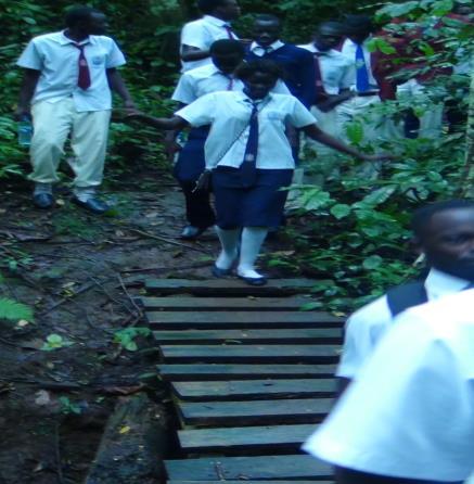 Fig 2: Members of UWS on different nature walks in Mabira Tropical forest Lessons learned and Recommendations There was an increase in