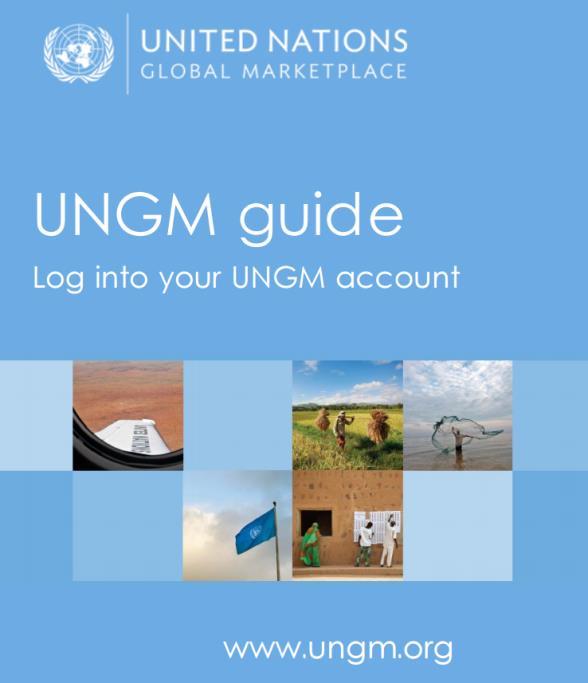 Guides for UNGM Support Step-bystep