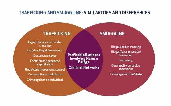 Trafficking & Smuggling: