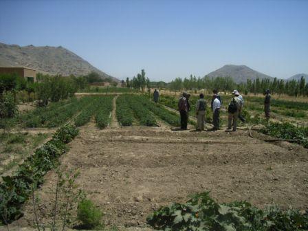 Stations In Kabul renovated by JICA Farming project