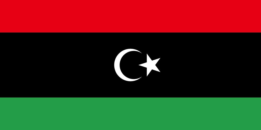 Libya Libya and Nuclear Weapons Free Zones Libya became a signatory of the Nuclear Non-Proliferation Treaty (NPT) in 1968 and ratified the NPT in 1975, but under the leadership of Muammar Gaddafi, it