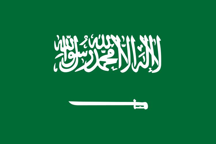 Saudi Arabia Saudi Arabia and Nuclear Weapon Free Zones As an economically powerful and influential nation in the Middle East, Saudi Arabia has a powerful voice in negotiations for a nuclear weapon