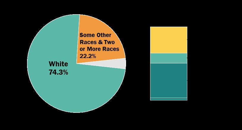 Demography Race 2000 Ethnicity Hispanics - 2000 43 % White 91.0% American Indian & Alaska Native 3.4% Other 5.6% 2015 Black 2.1% Asian 0.