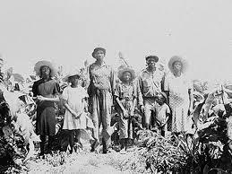 Lives of Former Slaves sharecropping = forced many freed slaves to farm land in