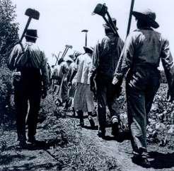 Sharecroppers With little employment options thanks to the black codes, most slaves fell back into field labor.
