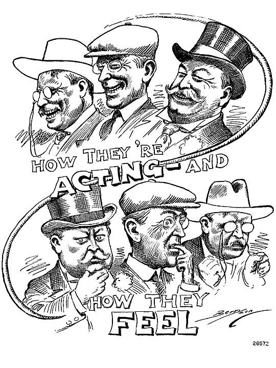 Taft gets Republican Party nomination T Roosevelt starts Progressive Party or Bull Moose Party