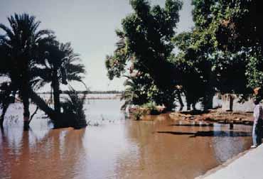 2000 Southern Rivers 2 million affected; including Limpopo 700 killed. 2001 Zambezi 500,000 affected; 115 killed.