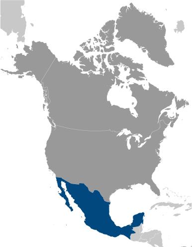 Where in the world? CATW-LAC is based in Mexico City, the nation s capital. A little over half the country s population lives below the poverty line.
