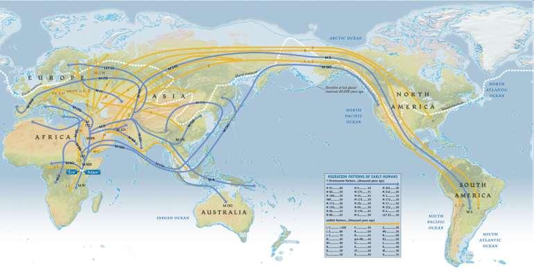 The history and reality of migration Pre-history human (humo sapiens)
