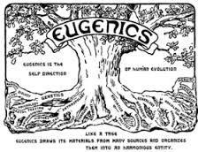 Eugenics Eugenics- The science of improving a human population by controlled breeding to increase the occurrence of desirable heritable characteristics.