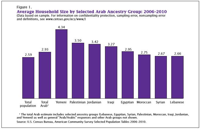 below the poverty line. (Arab American Institute, 2011).