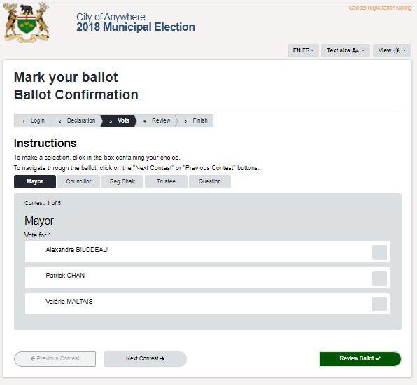 Internet Voting Marking the Ballot Following the instructions, the