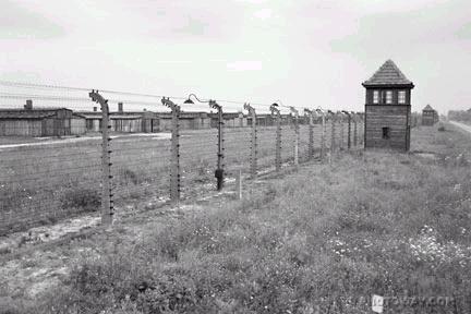 . The Holocaust led to the Nuremberg War Crimes Trials in which many Nazis were convicted and executed.