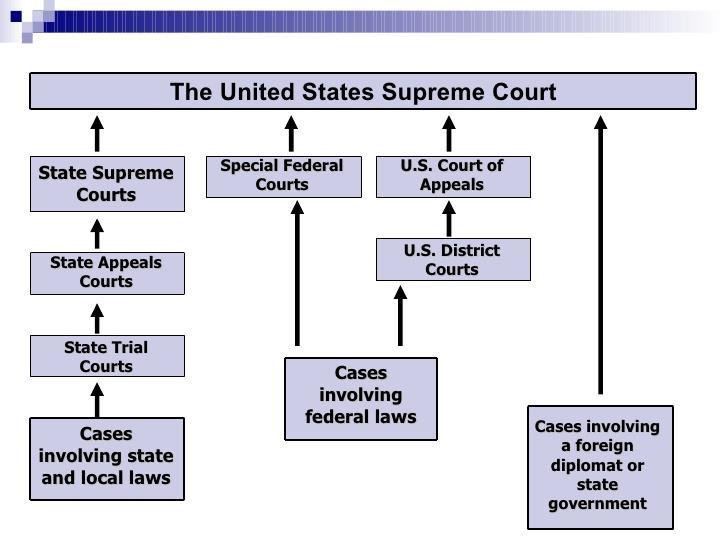 SS.7.c.3.11: Diagram the levels, functions, and powers of courts at the state and federal levels.