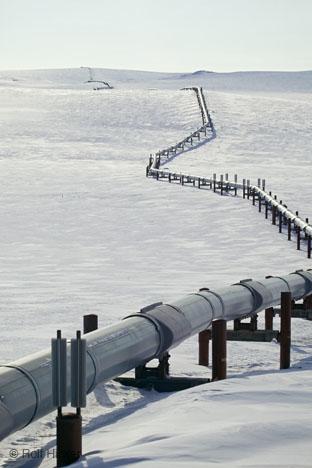 American Response to Oil Embargo 55 miles per hour speed limit Creation of the Alaskan pipeline