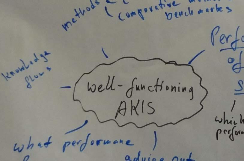 Discussion topics raised in the Copenhagen Workshop Quality of an AKIS how to appreciate the performance?