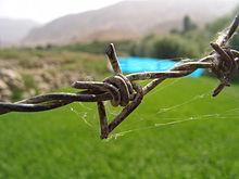 The first patent in the United States for barbed wire was issued in 1867 to Lucien B.