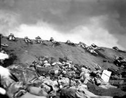 At the beginning of 1945, the acquisition of Iwo Jima and Okinawa helped the Allied