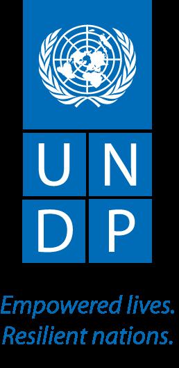 UNDP s Response To The Crisis In Iraq Background Iraq is currently facing one of the largest humanitarian crises in the world and a Level 3 emergency was declared for Iraq by the UN Emergency Relief