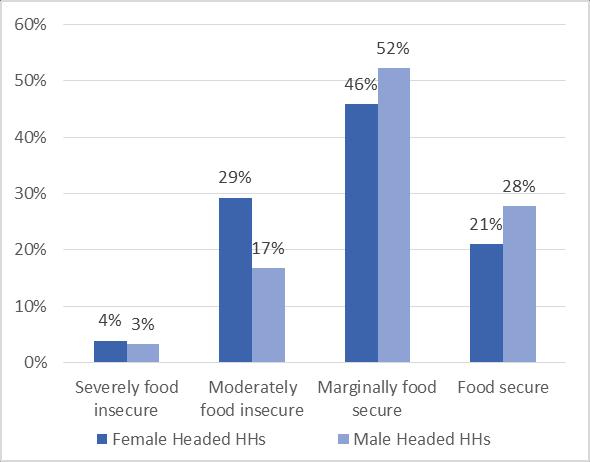 33 percent of women-headed households are food insecure while the rate is lower among the male-headed households at 20 percent.