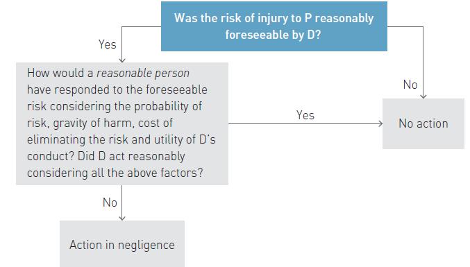 - The foreseeability of risk of injury, proximity, policy considerations (such as the spectre of exposure to infinite liability (the indeterminate liability factor ) and resource implications if a
