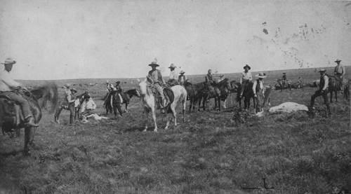The Cattle Industry Changes During the 1870s and 1880s millions of cattle