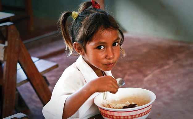 12 The Millennium Development Goals Report 211 Disparities within and among regions are found in the fight against hunger Proportion of undernourished population, 25-27 (Percentage) Very high