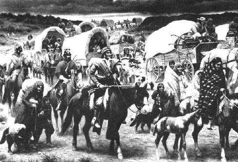 Trail of Tears Countless Indians died Forced to