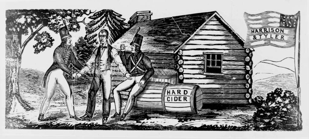 The Whigs Supported government programs, reforms and public schools