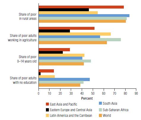 Children, rural and uneducated people tend to be overrepresented among the poor The Extreme Poor GLOBALLY Profile of the Poor, by characteristics and region, 2013 80% live in rural areas 2/3 work in