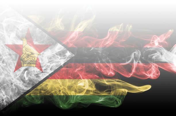 Political Instability in Zimbabwe: Planning for Succession Contingencies George F. Ward, Jr. Political instability and potential violence are ever-present threats in Zimbabwe.